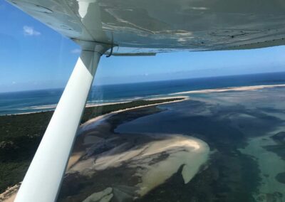 View from the Cockpit